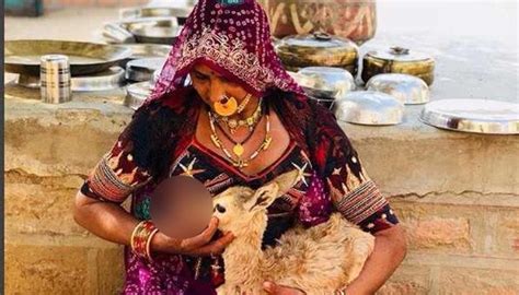 indian women breastfeeding deer|Chef Vikas Khanna pays respect to Bishnoi woman who .